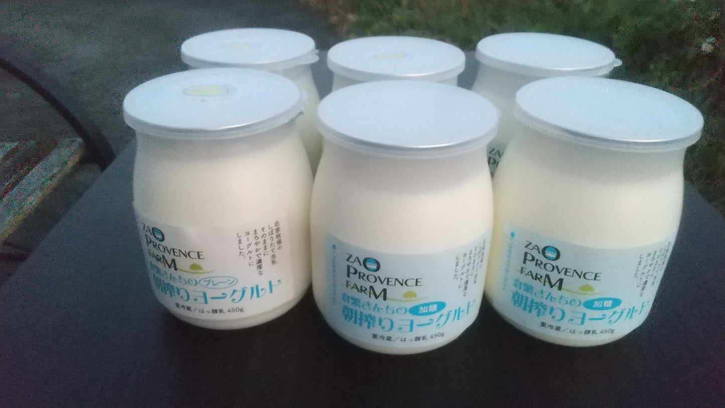 朝搾りヨーグルト:450g 6個セット